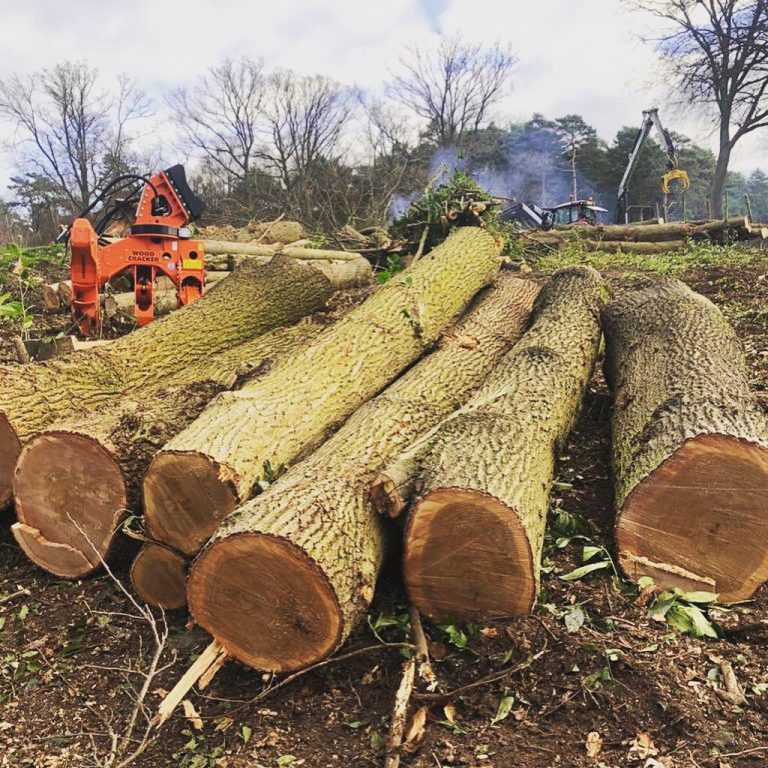 IMG_6346-raxhv3rf88i28k6gu2m0d35niu1olchh86vxcu7q4g