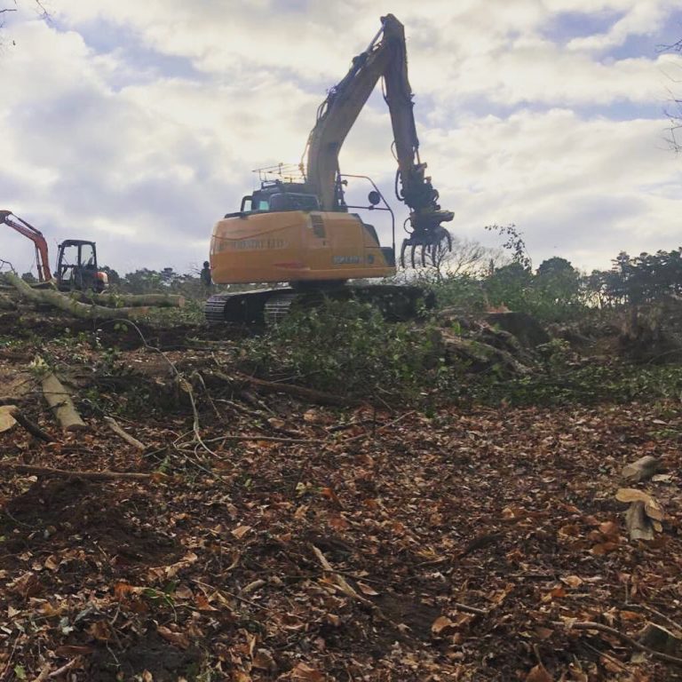 IMG_6349-raxhv3rf88i28k6gu2m0d35niu1olchh86vxcu7q4g (1)