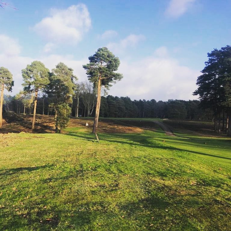 IMG_6440-raxhv3rf88i28k6gu2m0d35niu1olchh86vxcu7q4g