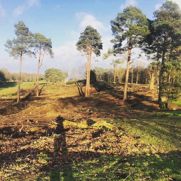 IMG_6442-1-raxhv3rf88i28k6gu2m0d35niu1olchh86vxcu7q4g