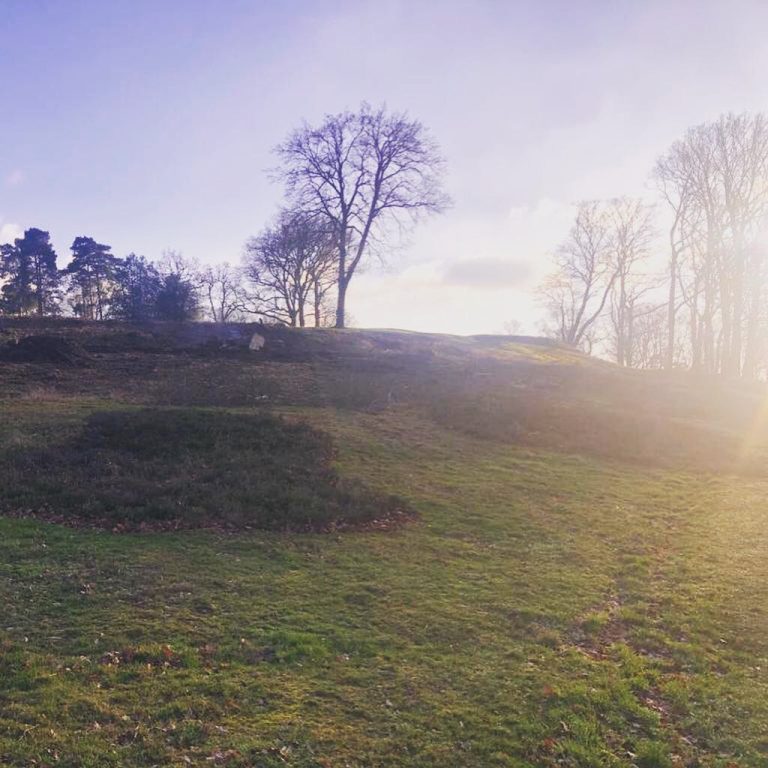 IMG_6443-2-raxhv3rf88i28k6gu2m0d35niu1olchh86vxcu7q4g