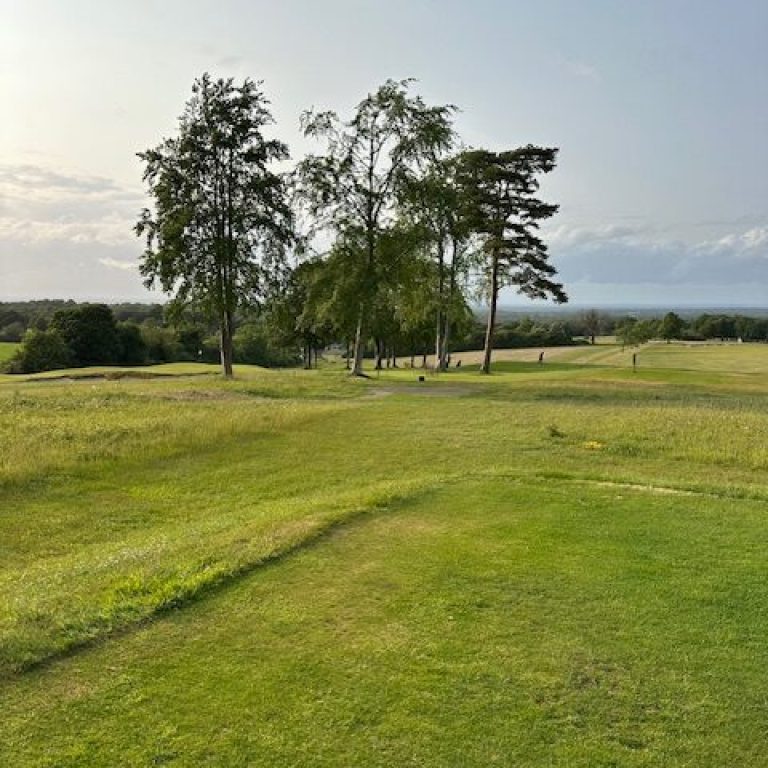 IMG_7802-rotated-raxhvacak2r2htwwrngecjhvoj59387ll3gbprxyww