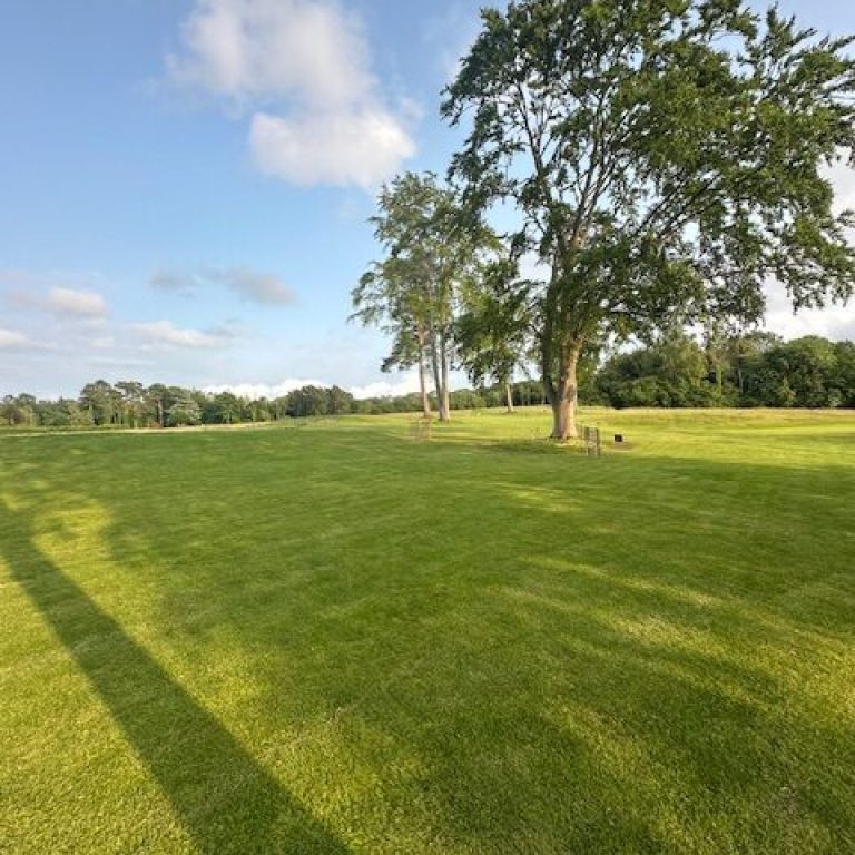 IMG_7804-rotated-raxhvacak2r2htwwrngecjhvoj59387ll3gbprxyww