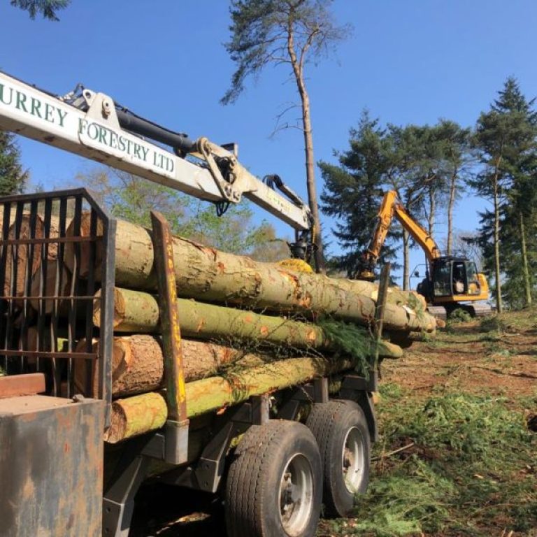 PHOTO-2019-04-12-20-17-27-10-600x600-1-raxhv3rf88i28k6gu2m0d35niu1olchh86vxcu7q4g