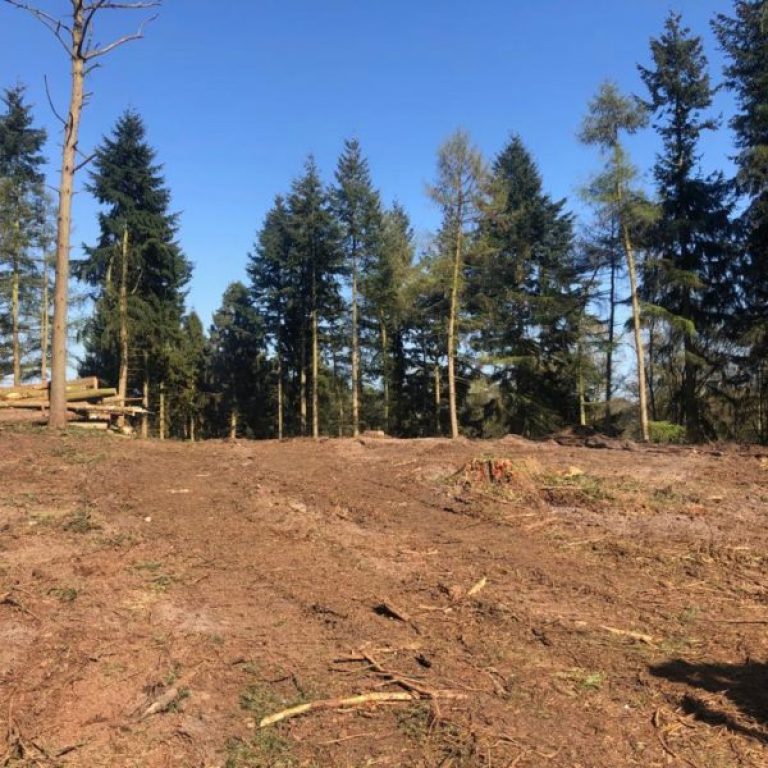 PHOTO-2019-04-12-20-17-27-11-600x600-1-raxhv3rf88i28k6gu2m0d35niu1olchh86vxcu7q4g