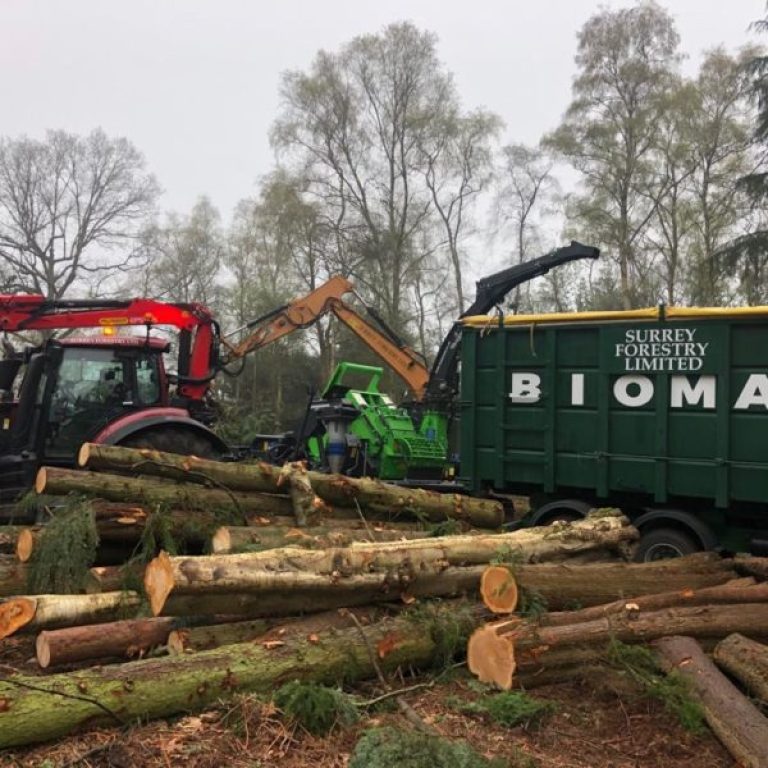 PHOTO-2019-04-12-20-17-27-12-600x600-1-raxhv3rf88i28k6gu2m0d35niu1olchh86vxcu7q4g