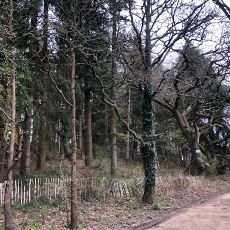 PHOTO-2019-04-12-20-17-27-2-600x600-1-raxhv3rf88i28k6gu2m0d35niu1olchh86vxcu7q4g (1)