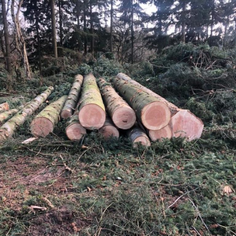 PHOTO-2019-04-12-20-17-27-3-600x600-1-raxhv3rf88i28k6gu2m0d35niu1olchh86vxcu7q4g