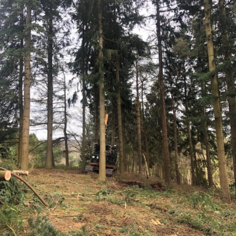 PHOTO-2019-04-12-20-17-27-4-600x600-1-raxhv3rf88i28k6gu2m0d35niu1olchh86vxcu7q4g