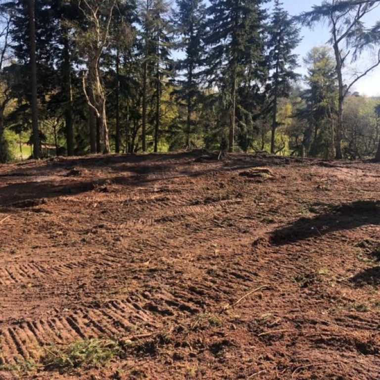 PHOTO-2019-04-12-20-17-27-5-600x600-1-raxhv3rf88i28k6gu2m0d35niu1olchh86vxcu7q4g