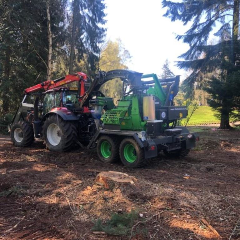 PHOTO-2019-04-12-20-17-27-6-600x600-1-raxhv3rf88i28k6gu2m0d35niu1olchh86vxcu7q4g