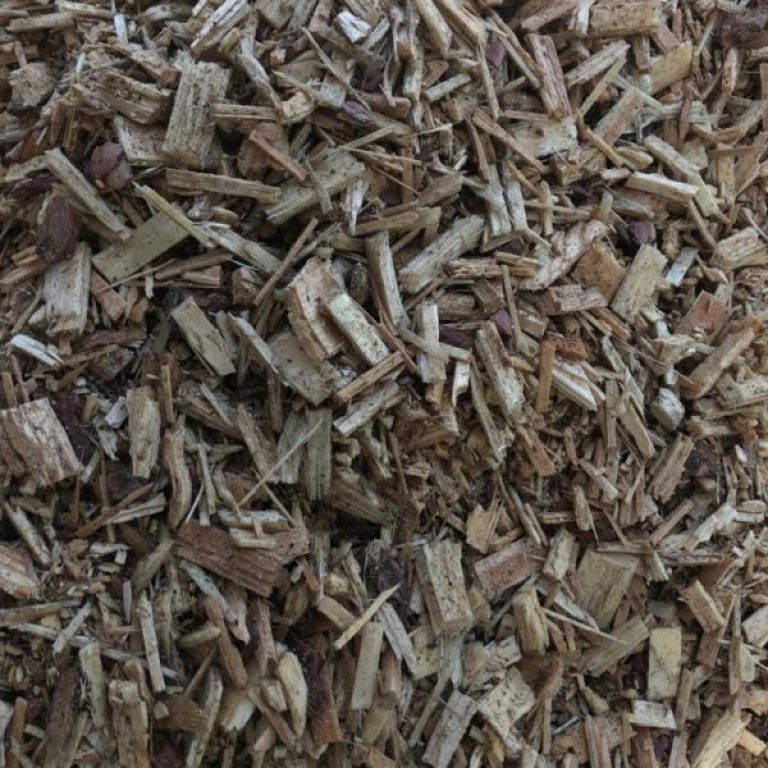 PHOTO-2019-04-12-20-17-27-7-600x600-1-raxhv3rf88i28k6gu2m0d35niu1olchh86vxcu7q4g