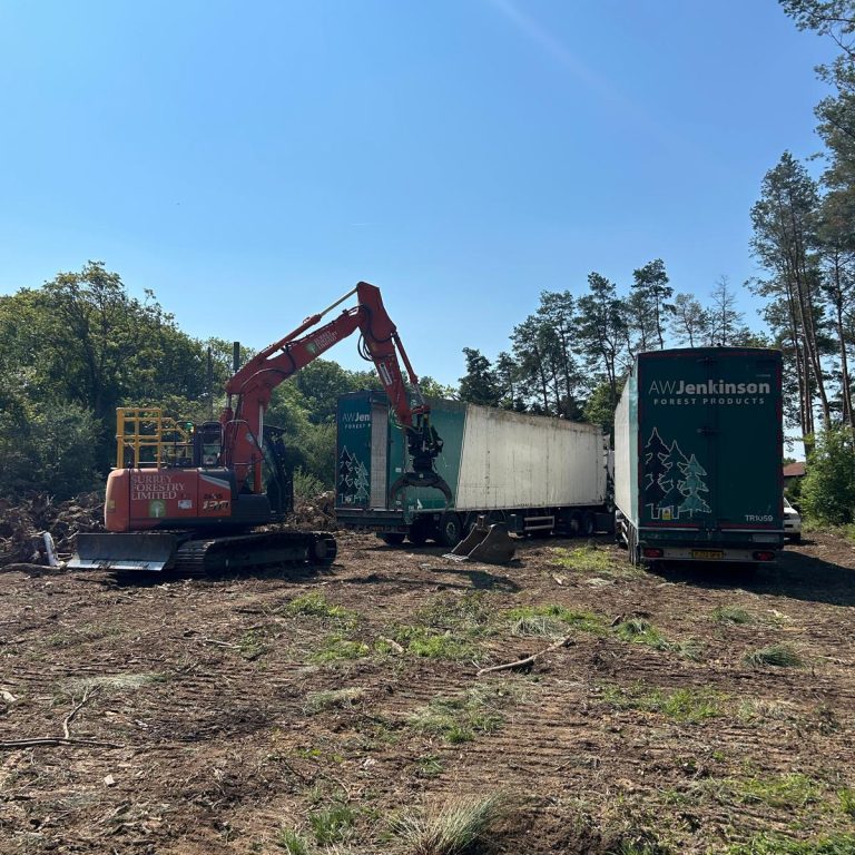 WhatsApp-Image-2024-07-03-at-20.24.25-11-raxhv9egd8ps67y9x51rs1qf359vvj3v8ysu8hzd34