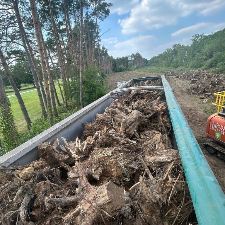 WhatsApp-Image-2024-07-03-at-20.24.25-9-raxhvacak2r2htwwrngecjhvoj59387ll3gbprxyww