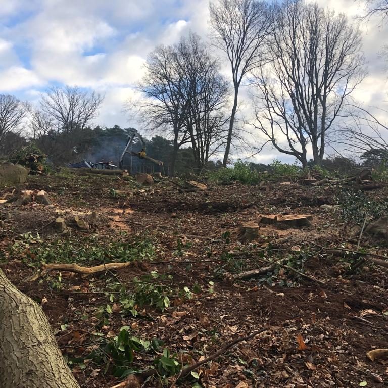 d7254485-95e7-4060-a310-3e73da696540-raxhv3rf88i28k6gu2m0d35niu1olchh86vxcu7q4g